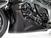 ワンダーリッヒ カーボンアンダーカウル　BMW K1200/1300R