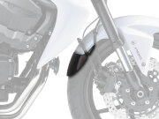P&A International Extender Fender / エクステンダーフェンダー Kawasaki