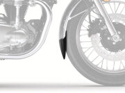 P&A International Extender Fender / エクステンダーフェンダー Kawasaki