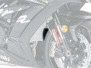 P&A International Extender Fender / エクステンダーフェンダー Kawasaki ZX10R / ZX10RR