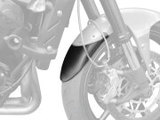 P&A International Extender Fender / エクステンダーフェンダー Triumph DAYTONA