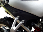 P&A International サイドカバー　Yamaha XT1200Z SuperTenere