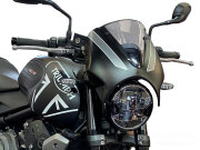 P&A International ヘッドライトフェアリング Triumph Trident660
