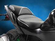 P&A International インナーリアフェンダー Kawasaki ニンジャ H2 SX