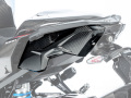 ワンダーリッヒ カーボンテールフェアリング BMW M1000XR