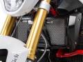 ワンダーリッヒ ラジエターガード BMW R1200R LC(水冷 '15-) / R1200RS LC(水冷 '15-)