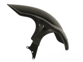 ワンダーリッヒ カーボンインナーリアフェンダー R1200R / RnineT/Racer / R1200S / R1200ST