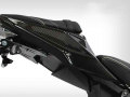 ワンダーリッヒ カーボンリアテールカウル BMW S1000R