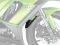 P&A International Extender Fender / エクステンダーフェンダー Kawasaki