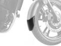 P&A International Extender Fender / エクステンダーフェンダー Kawasaki