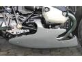 ACシュニッツァー アンダーカウル(ベリーパン) RnineT