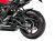 ワンダーリッヒ カーボンインナーリアフェンダー S1000XR('20-)