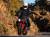 ワンダーリッヒ  S1000RR（-'16） / S1000R / S1000XR オイルクーラーガード