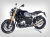 ワンダーリッヒ カーボンインナーリアフェンダー R1200R / RnineT/Racer