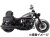 ヘプコ&ベッカー リアキャリア 「Solorack / ソロラック」 & バックレスト Indian CHIEF / チーフ