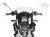 フロントカウル"Classic-Trophy" Classic Version BMW R1200R