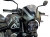 P&A International ヘッドライトフェアリング Triumph Trident660
