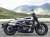 P&A International スプラッシュガード Harley Davidson Sportster S