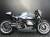 ACシュニッツァー アンダーカウル(ベリーパン) RnineT