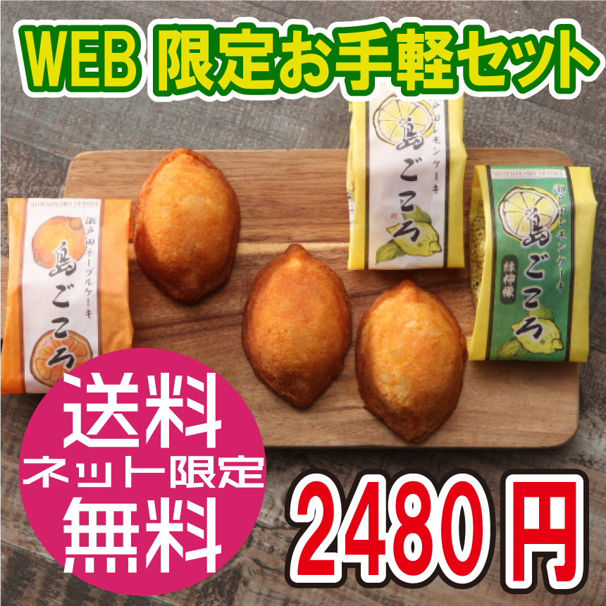 【送料無料】WEB限定お手軽ケーキセット／コンパクト便