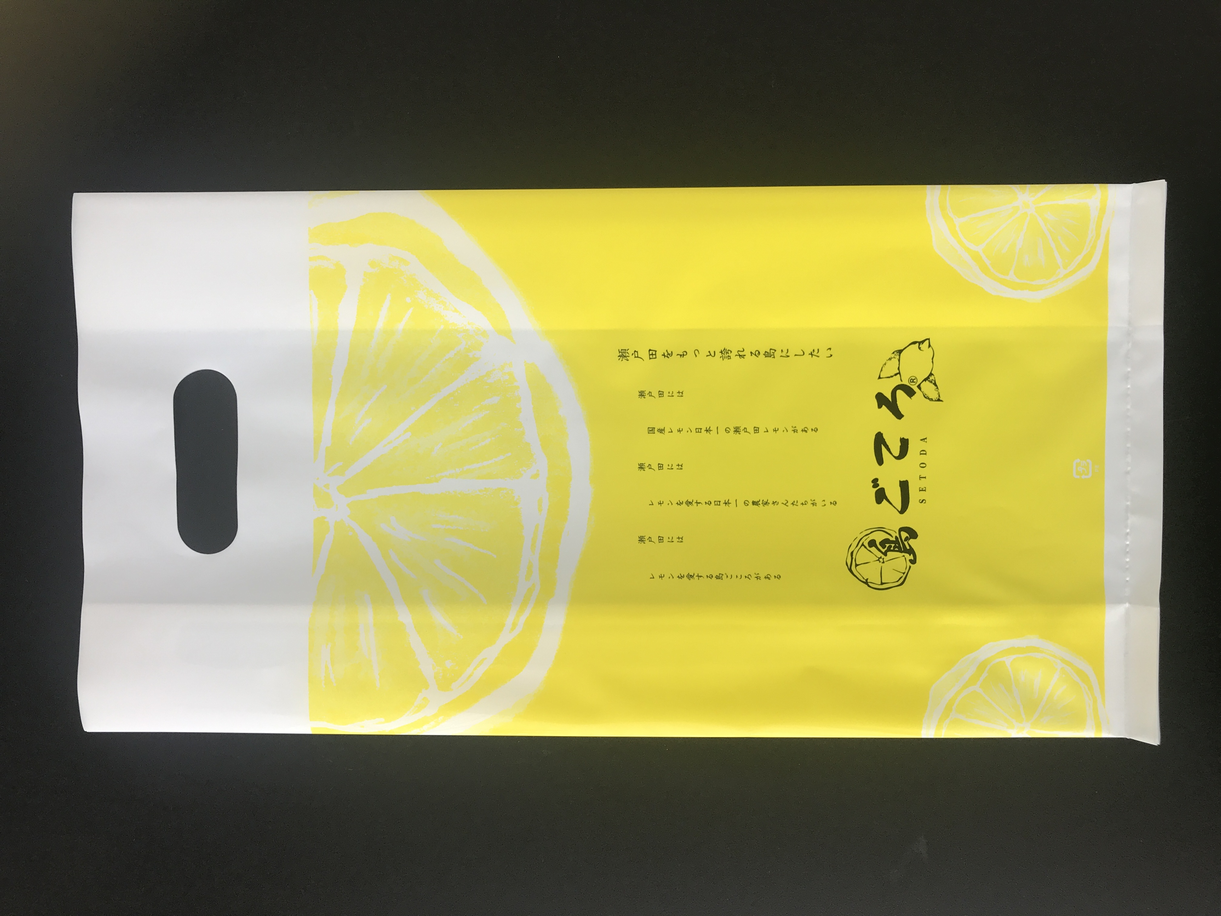 茶色大】島ごころオリジナル紙袋