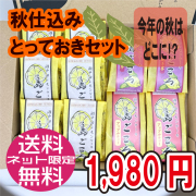 【カレンダー無】レモンケーキ6個・焼き芋味2個・アップルティー味2個10個入