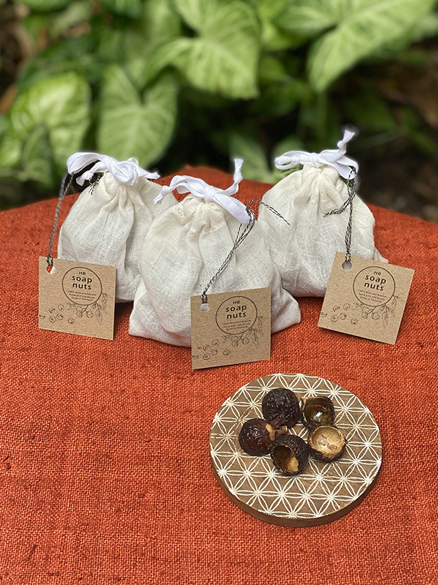 どんぐり チャーム【パヤカ オンラインショップ】