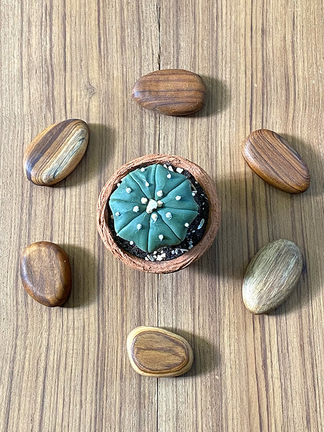 チーク WOOD 箸置き