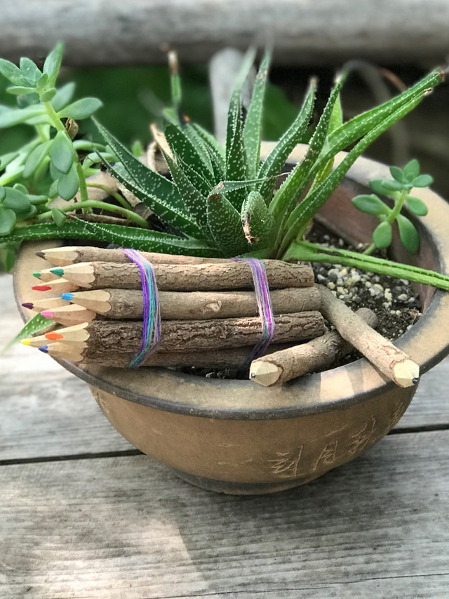 木の色鉛筆&鉛筆