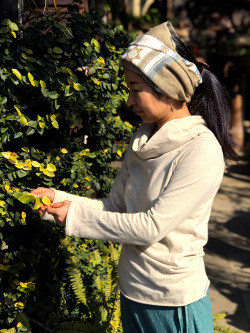 asana タートルカットソー・きなり