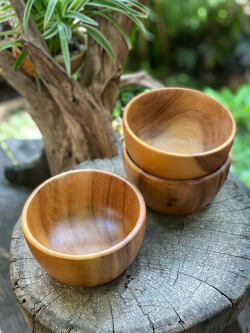WOOD どんぶり