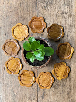 WOOD コースター