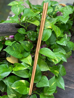 チーク WOOD 菜箸