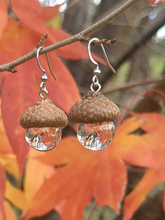 どんぐり ピアス【パヤカ オンラインショップ】