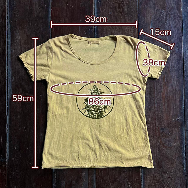 asana ヘンプコットン 薄手 スリム Tee・きなり