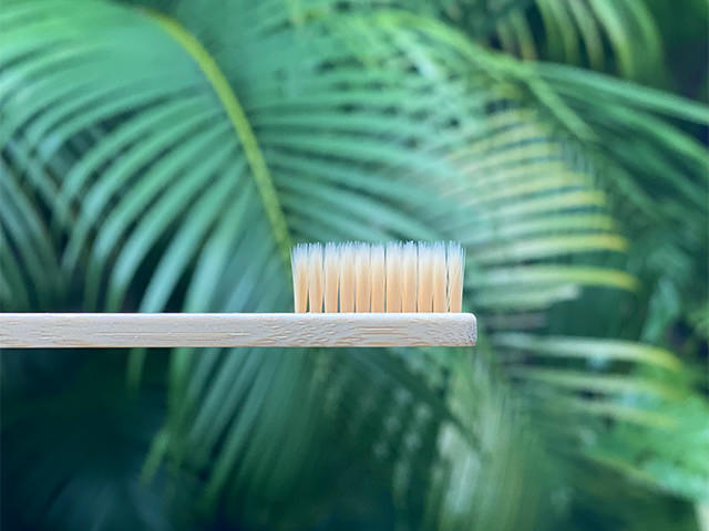 BASIC バンブー 歯ブラシ