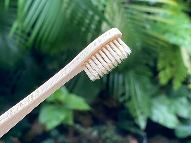 BASIC バンブー 歯ブラシ