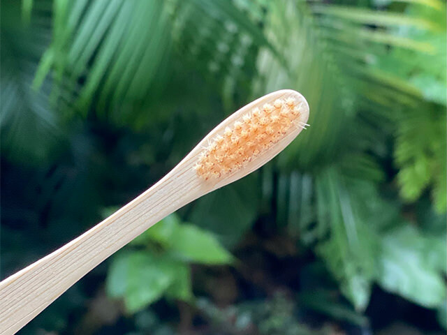 BASIC バンブー 歯ブラシ