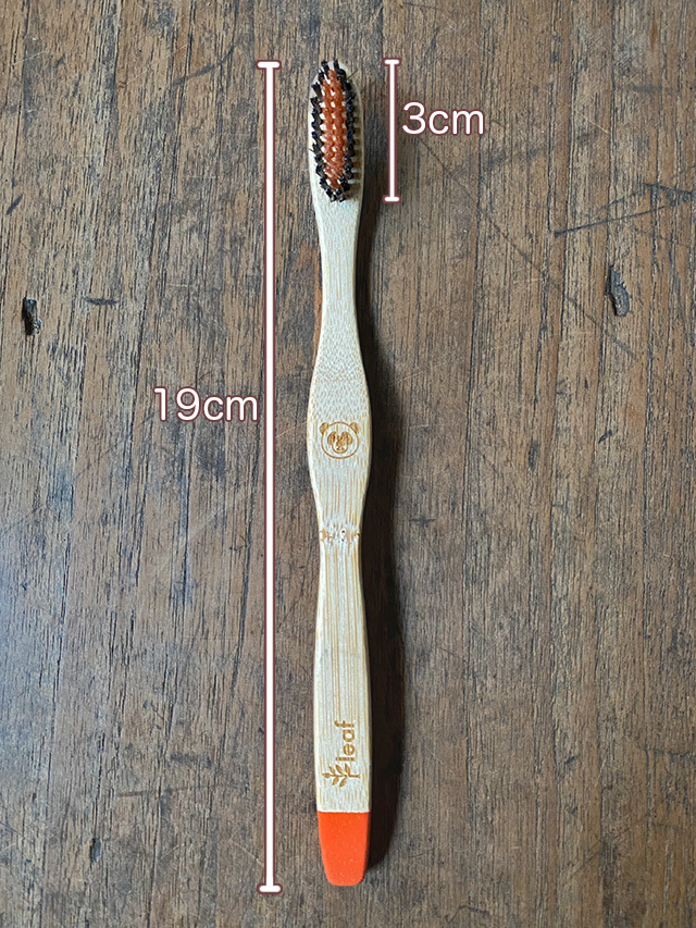 SPECIAL バンブー 歯ブラシ