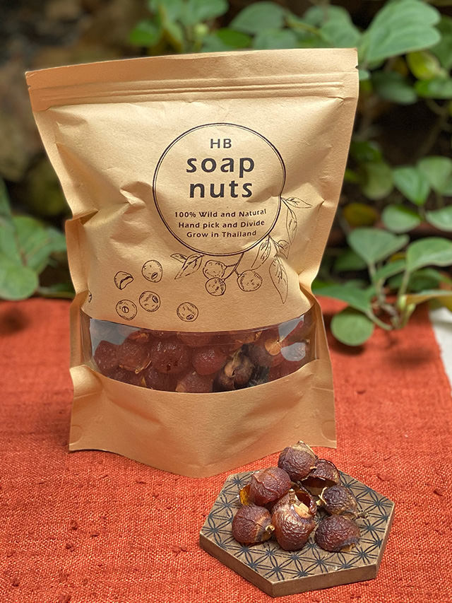 ソープ ナッツ【パヤカ オンラインショップ】