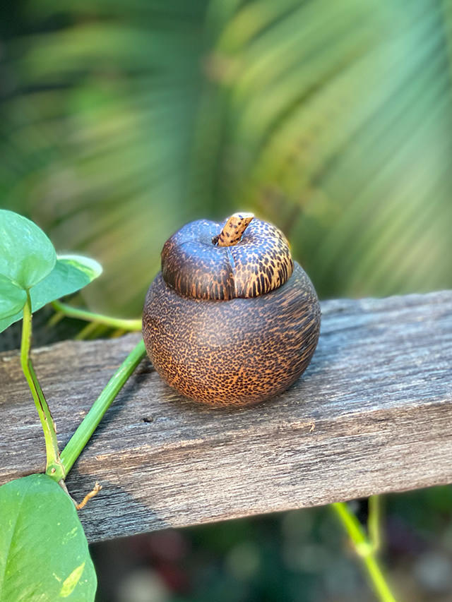 ヤシの木 マンゴスチン型 ふた付き 小物入れ【パヤカ オンラインショップ】