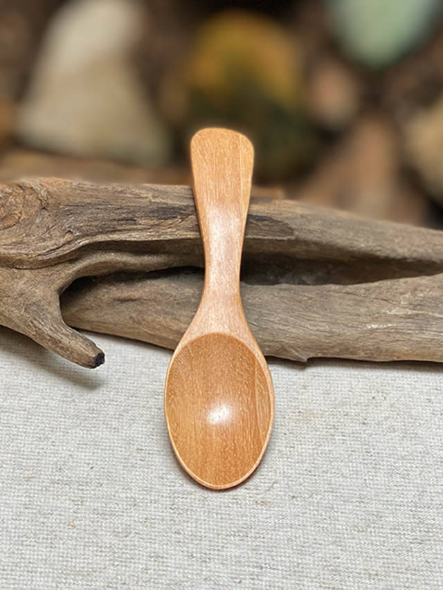 kokona 療法食 15g×2袋 木製スプーン付き WOOD さとう塩スプーン【パヤカ オンラインショップ】