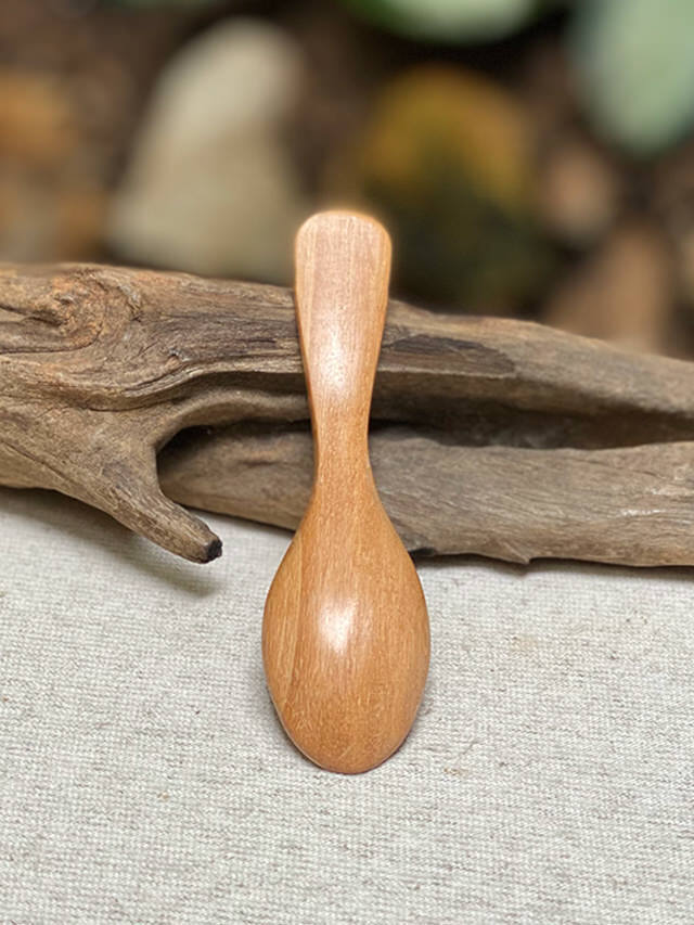 kokona 療法食 15g×2袋 木製スプーン付き WOOD さとう塩スプーン【パヤカ オンラインショップ】