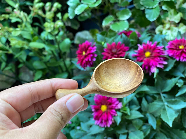 チーク WOOD 茶さじ