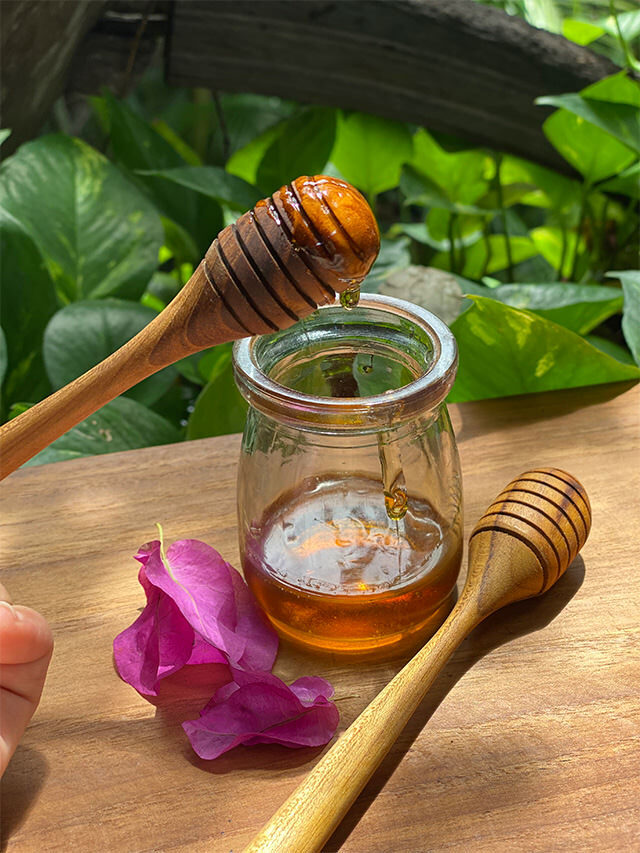 チークWOOD ハニーディッパー【パヤカ オンラインショップ】