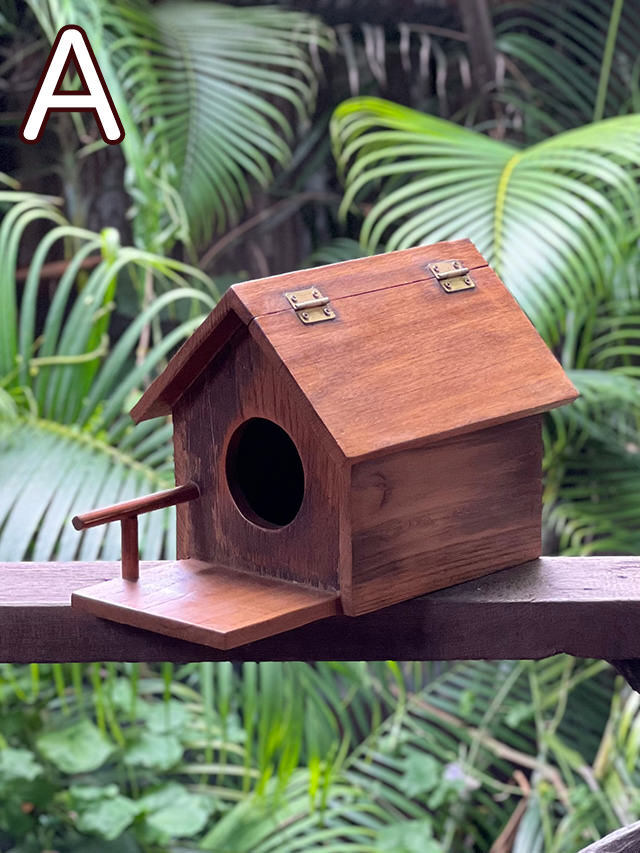 箱入り、蝶の剥製品 Amazon | 標本箱透明昆虫蝶標本箱 昆虫標本展示ボックス 蝶園