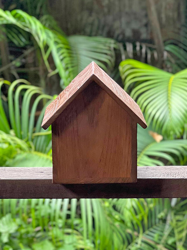 チークWOOD 巣箱【パヤカ オンラインショップ】