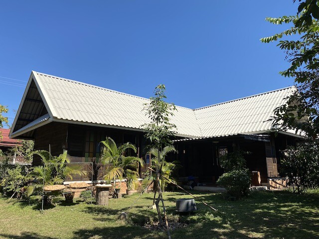 オーガニック コットン100%