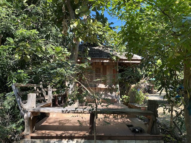 オーガニック コットン100%