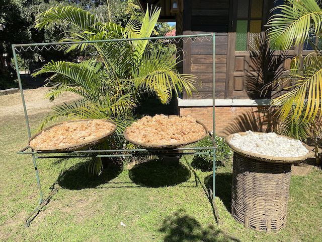 オーガニック コットン100%